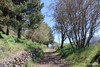 nte Egitto-29-04-2023 09-46-27